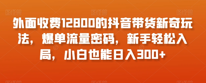 外面收费12800的抖音带货新奇玩法，爆单流量密码，新手轻松入局，小白也能日入300+【揭秘】 - 白戈学堂-<a href=