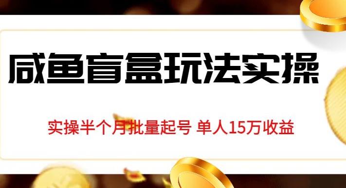 独家首发咸鱼盲盒玩法实操，半个月批量起号单人15万收益【揭秘】 - 白戈学堂-<a href=