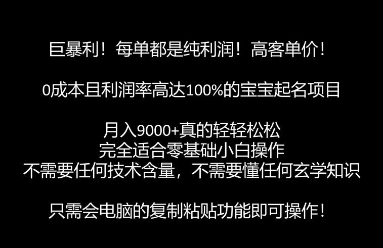 巨暴利，月入9000+的宝宝起名项目，每单都是纯利润，零基础都能躺赚【附软件+视频教程】 - 白戈学堂-<a href=