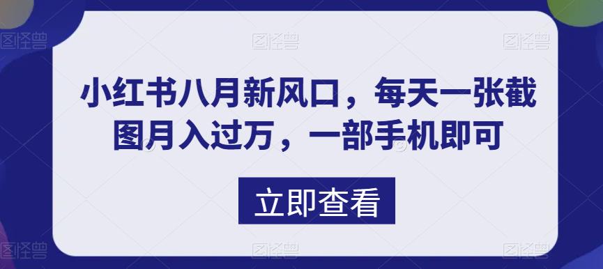 （6851期）八月新风口，小红书虚拟项目一天收入1000+，实战揭秘 - 白戈学堂-<a href=