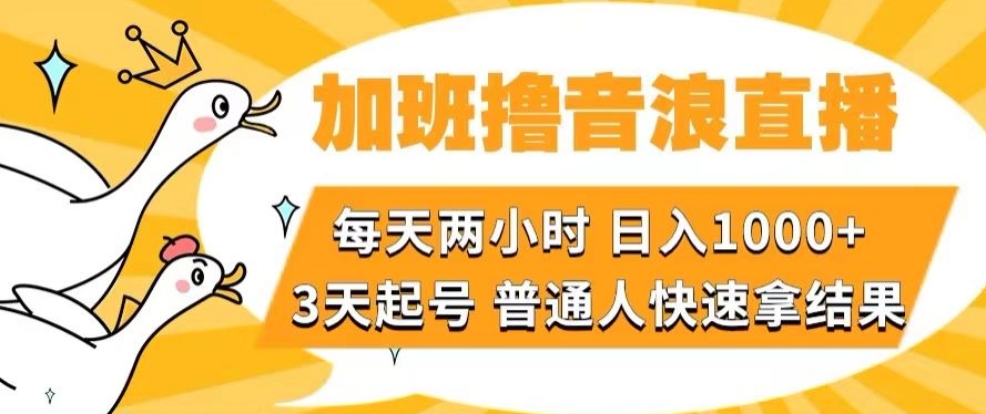 加班撸音浪直播，每天两小时，日入1000+，直播话术才3句，3天起号，普通人快速拿结果【揭秘】 - 白戈学堂-<a href=