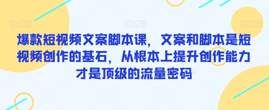 爆款短视频文案脚本课，文案和脚本是短视频创作的基石，从根本上提升创作能力才是顶级的流量密码 - 白戈学堂-<a href=