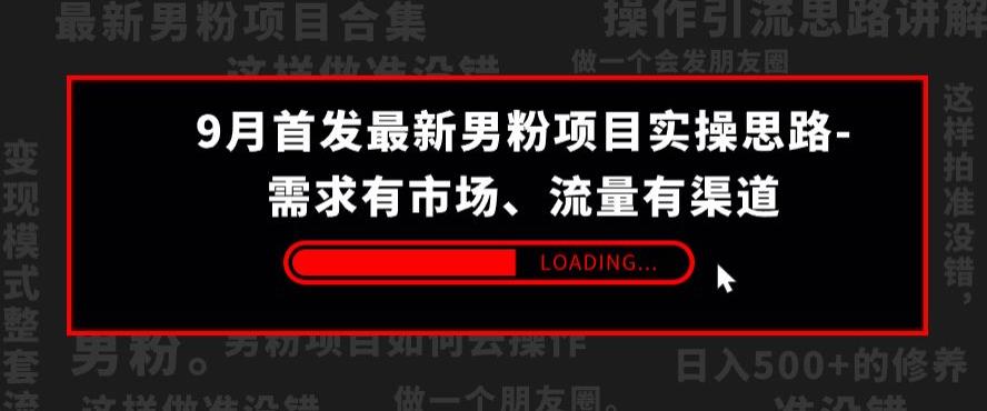 9月首发最新男粉项目实操思路-需求有市场，流量有渠道【揭秘】 - 白戈学堂-<a href=