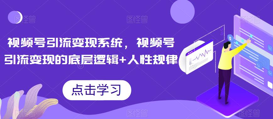 视频号引流变现系统，视频号引流变现的底层逻辑+人性规律 - 白戈学堂-<a href=