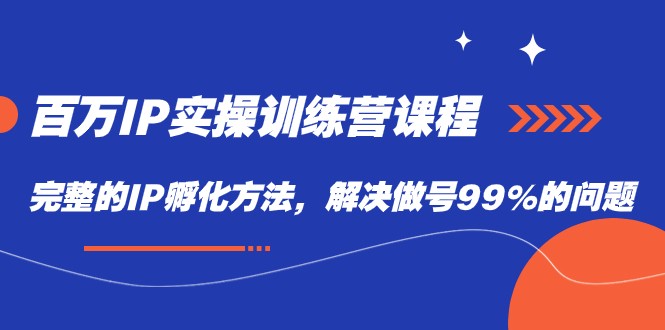 百万IP实战训练营课程，完整的IP孵化方法，解决做号99%的问题 - 白戈学堂-<a href=