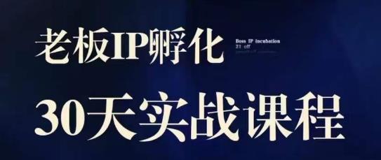 诸葛·2023老板IP实战课，实体同城引流获客，IP孵化必听 - 白戈学堂-<a href=