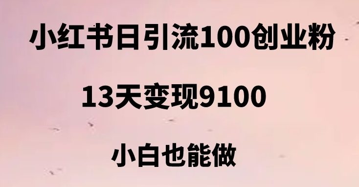 小红书日引流100+创业粉，13天变现9100，创业首选引流平台 - 白戈学堂-<a href=