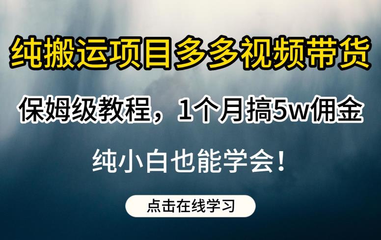 纯搬运项目多多视频带货保姆级教程，1个月搞5w佣金，纯小白也能学会【揭秘】 - 白戈学堂-<a href=