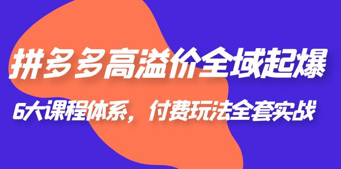 （6297期）拼多多-高溢价 全域 起爆，6大课程体系，付费玩法全套实战！ - 白戈学堂-<a href=