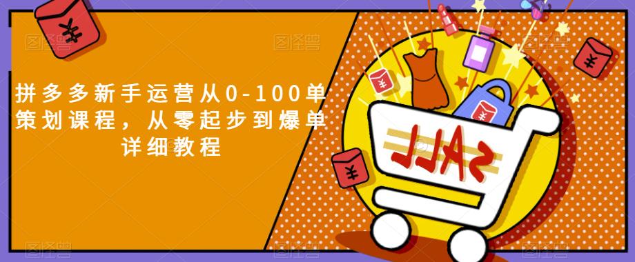 拼多多新手运营从0-100单策划课程，从零起步到爆单详细教程 - 白戈学堂-<a href=