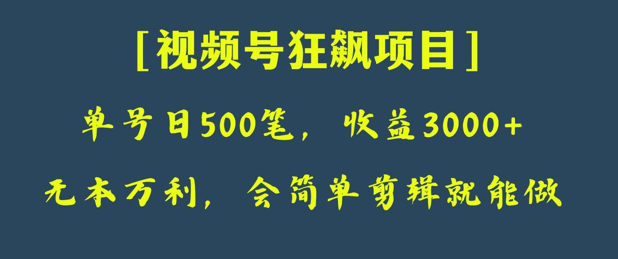 日收款500笔，纯利润3000+，视频号狂飙项目！ - 白戈学堂-<a href=