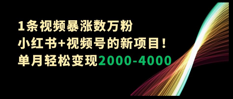 1条视频暴涨数万粉–小红书+视频号的新项目！单月轻松变现2000-4000【揭秘】 - 白戈学堂-<a href=