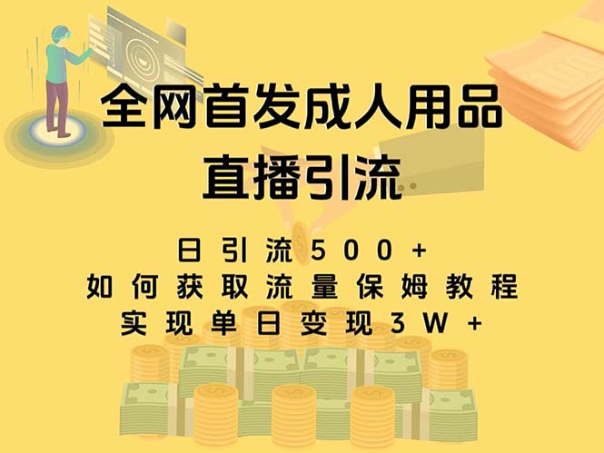 （8193期）最新全网独创首发，成人用品直播引流获客暴力玩法，单日变现3w保姆级教程 - 白戈学堂-<a href=