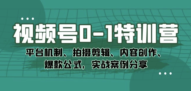 视频号0-1特训营：平台机制、拍摄剪辑、内容创作、爆款公式，实战案例分享 - 白戈学堂-<a href=