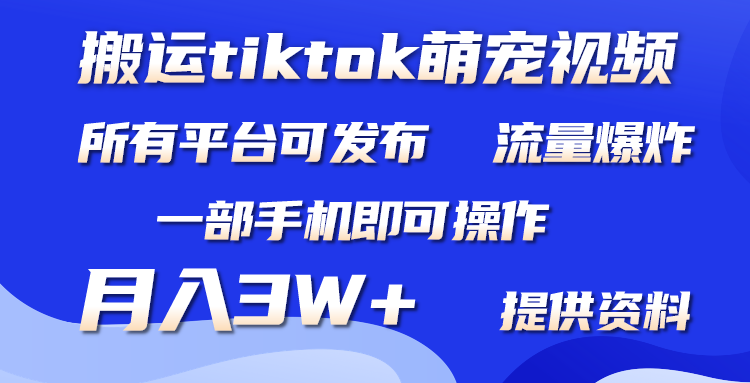 （9618期）搬运Tiktok萌宠类视频，一部手机即可。所有短视频平台均可操作，月入3W+ - 白戈学堂-<a href=