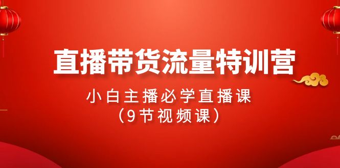 （9592期）2024直播带货流量特训营，小白主播必学直播课（9节视频课） - 白戈学堂-<a href=