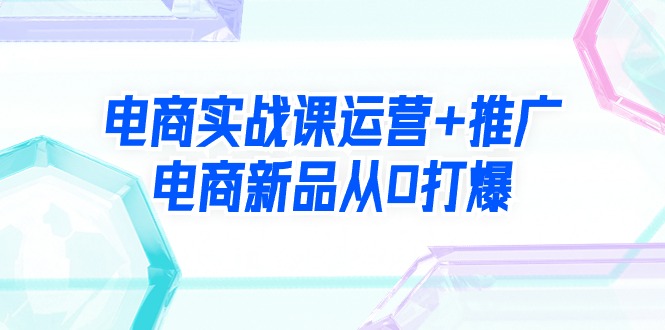 （9313期）电商实战课运营+推广，电商新品从0打爆（99节视频课） - 白戈学堂-<a href=