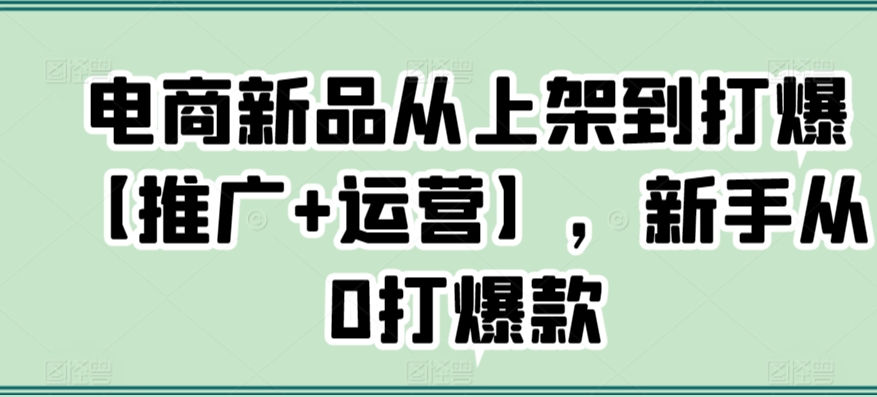 电商新品从上架到打爆【推广+运营】，新手从0打爆款 - 白戈学堂-<a href=