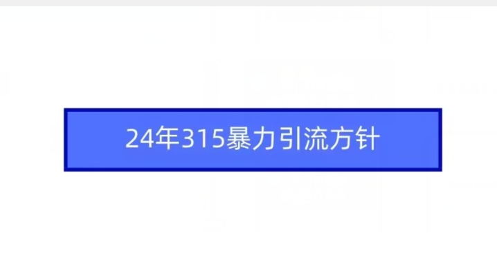 24年315暴力引流方针 - 白戈学堂-<a href=