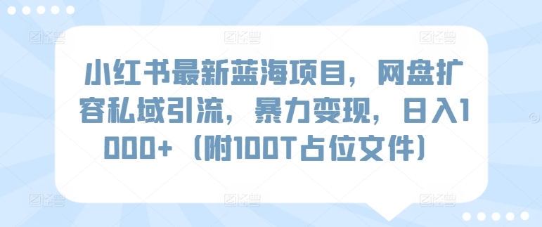 小红书最新蓝海项目，网盘扩容私域引流，暴力变现，日入1000+（附100T占位文件） - 白戈学堂-<a href=