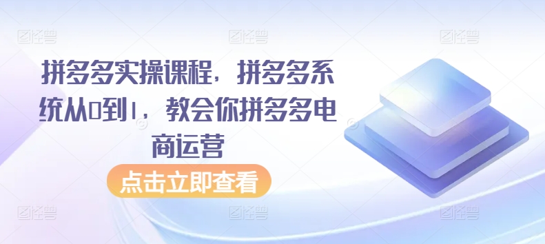 拼多多实操课程，拼多多系统从0到1，教会你拼多多电商运营 - 白戈学堂-<a href=