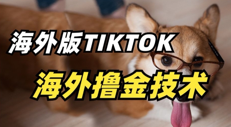 抖音海外版tiktok撸金技术，这个风口行业，赚钱真的不难 - 白戈学堂-<a href=