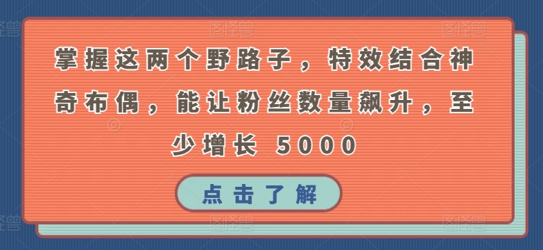 掌握这两个野路子，特效结合神奇布偶，能让粉丝数量飙升，至少增长 5000 - 白戈学堂-<a href=