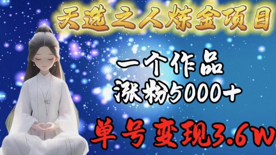 天选之人炼金项目，一个作品涨粉5000+，单号变现3.6w - 白戈学堂-<a href=