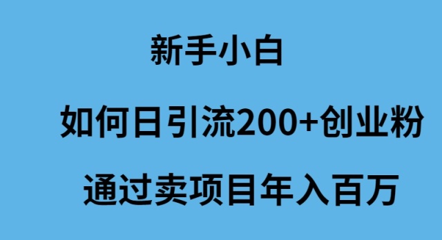 （9668期）新手小白如何日引流200+创业粉通过卖项目年入百万 - 白戈学堂-<a href=