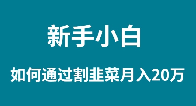 （9308期）新手小白如何通过割韭菜月入 20W - 白戈学堂-<a href=