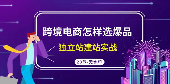 跨境电商怎样选爆品，独立站建站实战（20节高清课） - 白戈学堂-<a href=