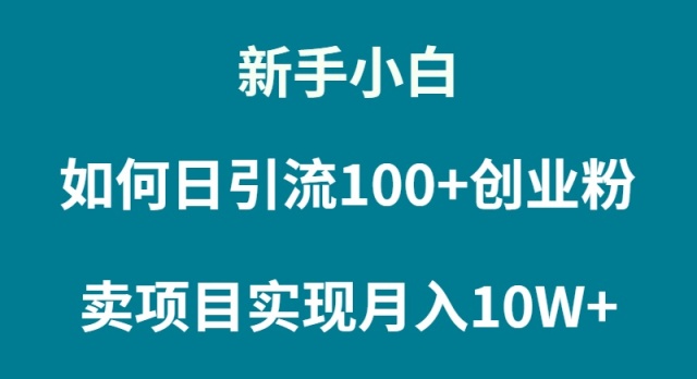 （9556期）新手小白如何通过卖项目实现月入10W+ - 白戈学堂-<a href=