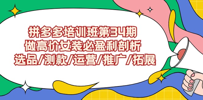 （9333期）拼多多培训班第34期：做高价女装必盈利剖析 选品/测款/运营/推广/拓展 - 白戈学堂-<a href=