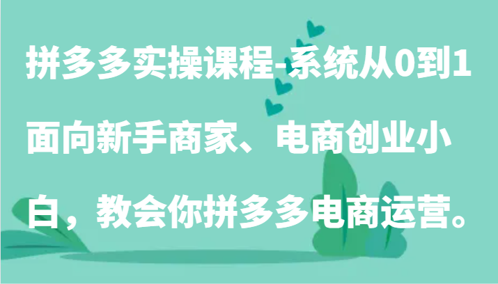 拼多多实操课程-系统从0到1，面向新手商家、电商创业小白，教会你拼多多电商运营。 - 白戈学堂-<a href=