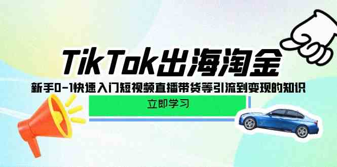 TikTok出海淘金，新手0-1快速入门短视频直播带货等引流到变现的知识 - 白戈学堂-<a href=