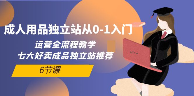 （10082期）成人用品独立站从0-1入门，运营全流程教学，七大好卖成品独立站推荐-6节课 - 白戈学堂-<a href=