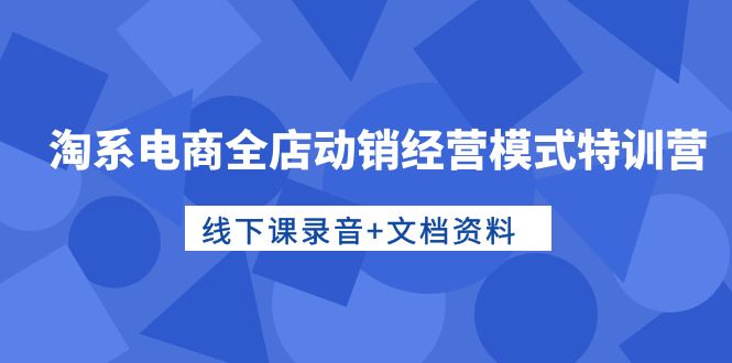 （10192期）淘系电商全店动销经营模式特训营，线下课录音+文档资料 - 白戈学堂-<a href=