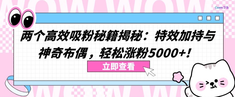 两个高效吸粉秘籍揭秘：特效加持与神奇布偶，轻松涨粉5000+ - 白戈学堂-<a href=