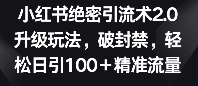 小红书绝密引流术2.0升级玩法，破封禁，轻松日引100+精准流量 - 白戈学堂-<a href=