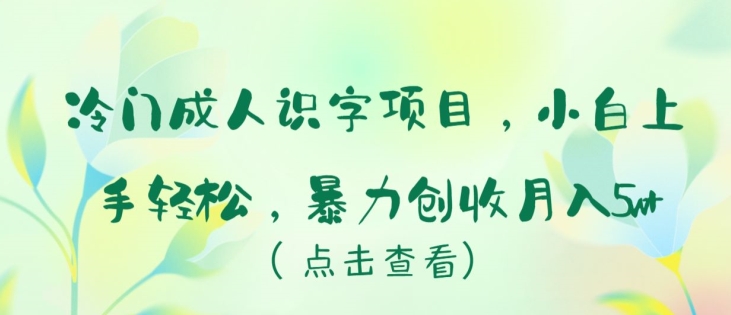 冷门成人识字项目，小白上手轻松，暴力创收月入5w+ - 白戈学堂-<a href=