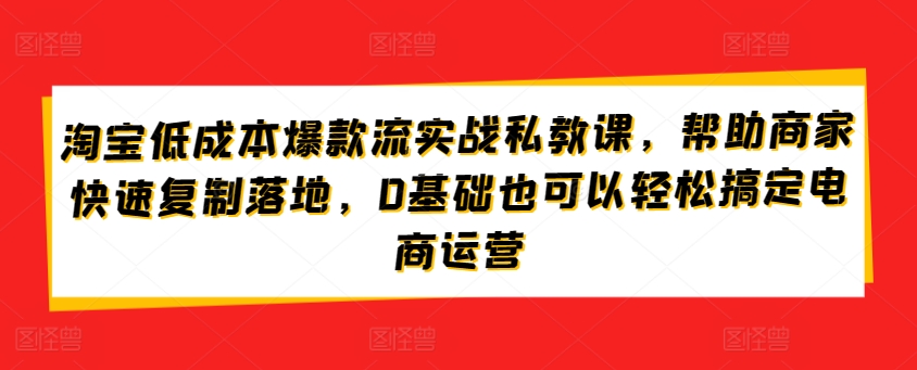 淘宝低成本爆款流实战私教课，帮助商家快速复制落地，0基础也可以轻松搞定电商运营 - 白戈学堂-<a href=