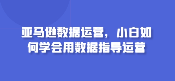 亚马逊数据运营，小白如何学会用数据指导运营 - 白戈学堂-<a href=