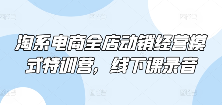 淘系电商全店动销经营模式特训营，线下课录音 - 白戈学堂-<a href=