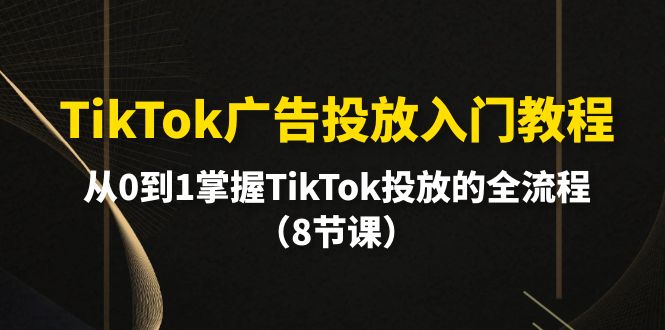 （10085期）TikTok广告投放入门教程，从0到1掌握TikTok投放的全流程（8节课） - 白戈学堂-<a href=