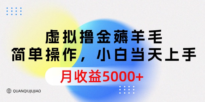 （9864期）虚拟撸金薅羊毛，简单操作，小白当天上手，月收益5000+ - 白戈学堂-<a href=