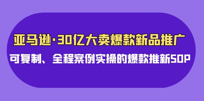 亚马逊30亿大卖爆款新品推广，可复制、全程案例实操的爆款推新SOP - 白戈学堂-<a href=