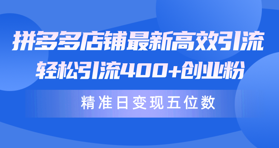 （10041期）拼多多店铺最新高效引流术，轻松引流400+创业粉，精准日变现五位数！ - 白戈学堂-<a href=