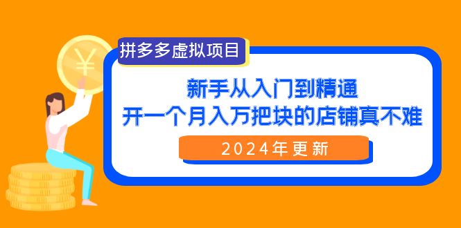 （9744期）拼多多虚拟项目：入门到精通，开一个月入万把块的店铺 真不难（24年更新） - 白戈学堂-<a href=