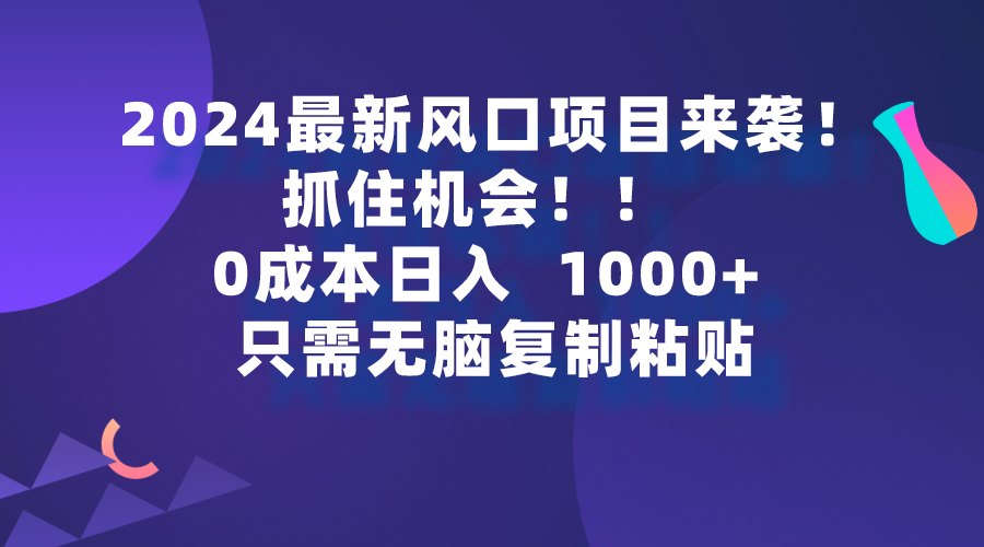 （9899期）2024最新风口项目来袭，抓住机会，0成本一部手机日入1000+，只需无脑复… - 白戈学堂-<a href=