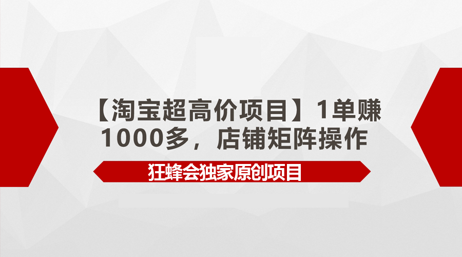 （9849期）【淘宝超高价项目】1单赚1000多，店铺矩阵操作 - 白戈学堂-<a href=